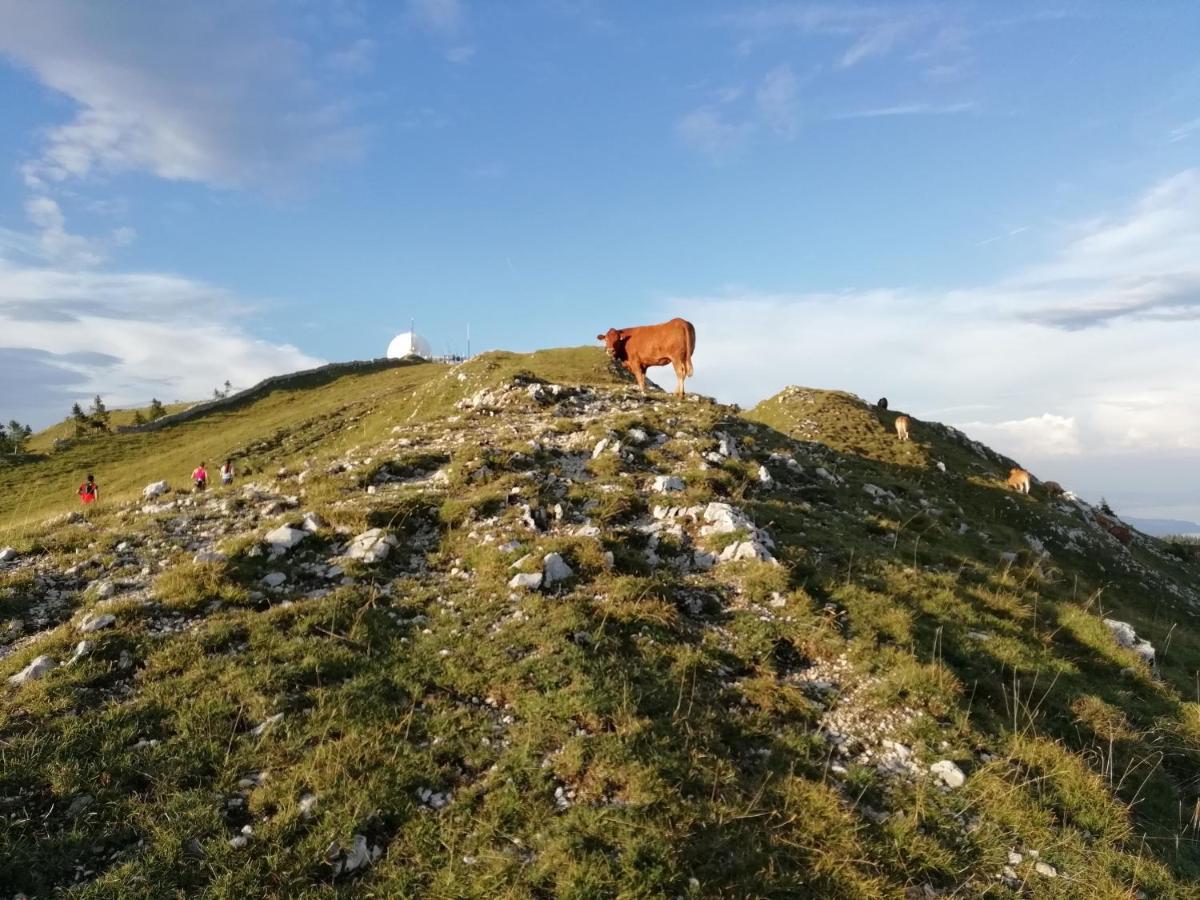 Cahute De Montagne Pour Profiter Du Haut Jura Prémanon Exterior foto